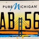 2024 Pure Michigan Mackinac Bridge License Plate (EAB 568)