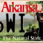 2007 Arkansas Black Bear License Plate (76WI)