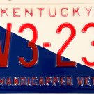 1993 Kentucky Handicapped Vet License Plate (HV3-233)