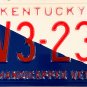 1993 Kentucky Handicapped Vet License Plate (HV3-233)