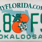 2019 Florida License Plate (Z18 FSR)