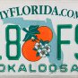 2019 Florida License Plate (Z18 FSR)