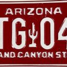 1994/95 Arizona License Plate (FTG 041)