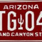1994/95 Arizona License Plate (FTG 041)