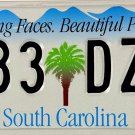 1999 South Carolina License Plate (283 DZA)