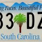 1999 South Carolina License Plate (283 DZA)