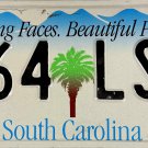 2002 South Carolina License Plate (464 LSZ)