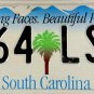 2002 South Carolina License Plate (464 LSZ)