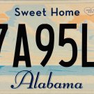 2013 Alabama License Plate (57A95L9)