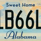 2013 Alabama License Plate (41B66L6)