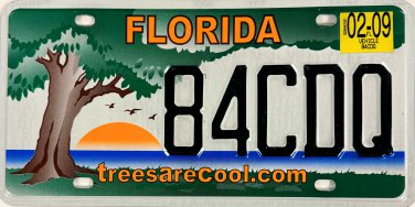 2009 Florida treesarecool.com License Plate (84CDQ)