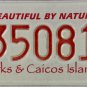 Turks & Caicos Islands License Plate (35081)