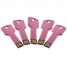 Enfain® 5Pcs 1GB Bulk Promotional Metal Key USB Flash Drive 2.0 Memory Stick Pen Drive(Pink)