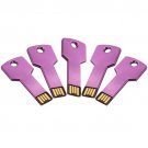 Enfain® 5Pcs 1GB Bulk Promotional Metal Key USB Flash Drive 2.0 Memory Stick Pen Drive(Purple)