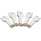 Enfain® 5Pcs 1GB Bulk Promotional Metal Key USB Flash Drive 2.0 Memory Stick Pen Drive(Silver)