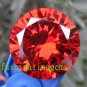 100.75CT HUGE UNBELIEVABLE EXCELLENT RED ROUND ZIRCON
