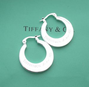 Amazing Sterling new style moon earrings