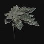 Maple Leaf Multi-Leaf Silver Tone Shiny Pin/Brooch