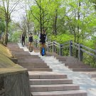 2015 most popular Electric Self-balancing Unicycle Scooter