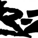 2 of ZR2 DECAL TRUCK / CAR SIDE DECALS (2-PACK) ZR-2