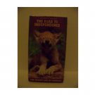 READER'S DIGEST: THE ROAD TO INDEPENDENCE, The family Life of Animals (VHS, 1998)