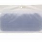BCW Currency Sleeves - Regular Bill, 100 pack