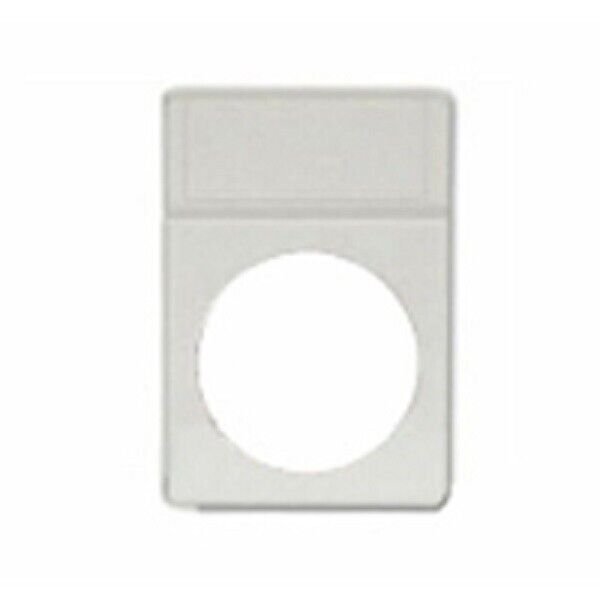 Large Dollar Foam Inserts for Display Slabs, No Slabs, White 25 pk by BCW