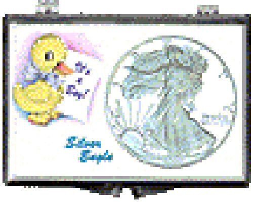ASE 2x3 Snap Lock Coin Holder Display, It's A Boy-Duck, 3 Pack