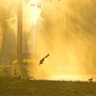 Psychic Reading 2 Questions