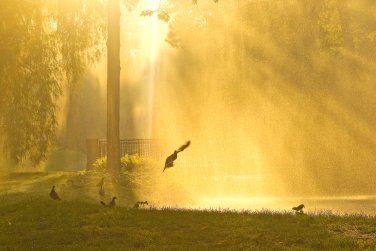 Psychic Reading 2 Questions
