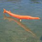 MPC Sea Creatures: Needle Fish in Cereal Premium Orange (Probable Recast) (6-26-19)