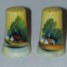 VINTAGE SALT SHAKERS, SCENIC VIEW