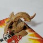 BAKUGAN Dragonoid tan subterra 270g Battle Brawlers B1 classic open core