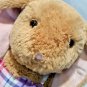 Build A Bear Plush Stuffed Bunny Rabbit and outfit Cute Animal Tan Pink Toy 16"
