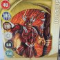 bakugan black darkus warius 450g, warius card 3 piece bundle Lot battle brawlers