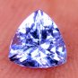 Dazzling Trillion Shape Natural Tanzanite Violet Blue 0.79 Ct Certified HG 9025