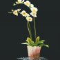 Orchid embroidery picture