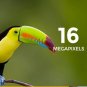 Kodak PIXPRO AZ521 Digital Camera Bundle
