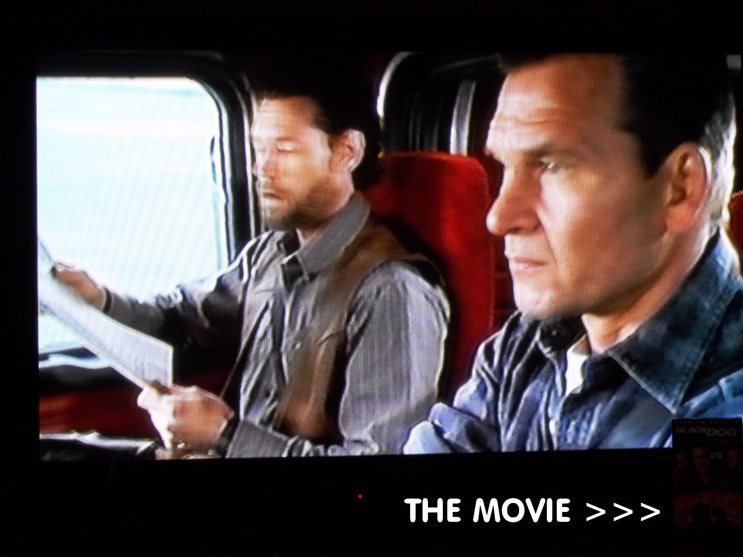 BLACK DOG with Patrick Swayze, Randy Travis, Meat Loaf 1998 (VHS) VG