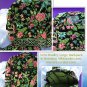 Vera Bradley Large Backpack in Botanica NWT Retired overnight laptop weekend carryon Exclusive