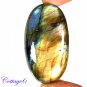 Certified 149.65Cts. NATURAL GOLDEN FLASH LABRADORITE CABOCHON GEMSTONE C6-2605