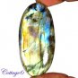 Certified 98.75Cts. NATURAL GOLDEN FLASH LABRADORITE CABOCHON GEMSTONE C6-2596