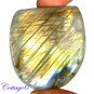 CERTIFIED 91.50Cts. NATURAL GOLDEN FLASH LABRADORITE CABOCHON GEMSTONE C6-2557