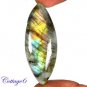 CERTIFIED 66.30Cts. NATURAL GOLDEN FLASH LABRADORITE CABOCHON GEMSTONE C6-2625