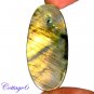 CERTIFIED 83.50Cts. NATURAL GOLDEN FLASH LABRADORITE CABOCHON GEMSTONE C6-2653