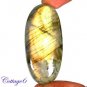 CERTIFIED 83.50Cts. NATURAL GOLDEN FLASH LABRADORITE CABOCHON GEMSTONE C6-2653