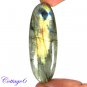CERTIFIED 78.05Cts. NATURAL GOLDEN FLASH LABRADORITE CABOCHON GEMSTONE C6-2636