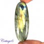 CERTIFIED 78.05Cts. NATURAL GOLDEN FLASH LABRADORITE CABOCHON GEMSTONE C6-2636