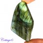 CERTIFIED 115.05Cts. NATURAL GOLDEN FLASH LABRADORITE CABOCHON GEMSTONE C6-2630