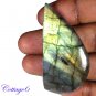 CERTIFIED 77.95Cts. NATURAL GOLDEN FLASH LABRADORITE CABOCHON GEMSTONE C6-2632